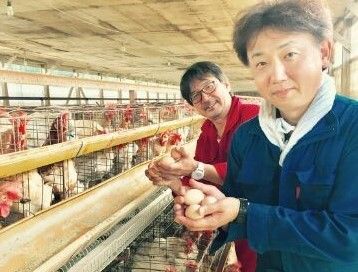 北海道こだわりの養鶏場で一緒に働く仲間を募集 下川人財バンク